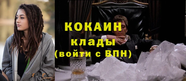 твердый Алексин
