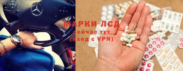 прущие грибы Алзамай