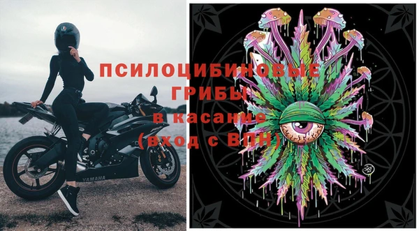прущие грибы Алзамай