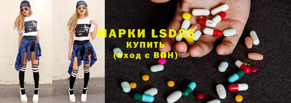 прущие грибы Алзамай
