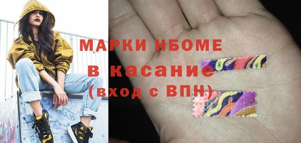 прущие грибы Алзамай